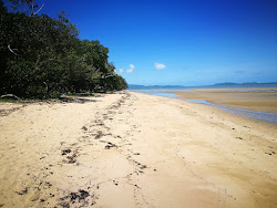 Foto af Wonga Beach beliggende i naturområde