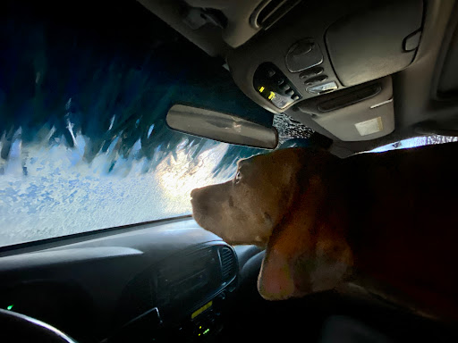 Car Wash «Kaady Car Wash», reviews and photos, 15450 SW 116th Ave, King City, OR 97224, USA