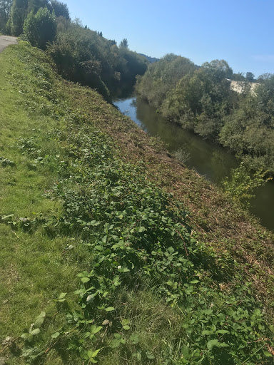 Manufacturer «Rainier Industries Ltd», reviews and photos, 18375 Olympic Ave S, Tukwila, WA 98188, USA