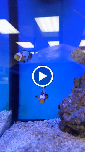 Pet Supply Store «Petco», reviews and photos, 590 E Waterfront Dr, Homestead, PA 15120, USA