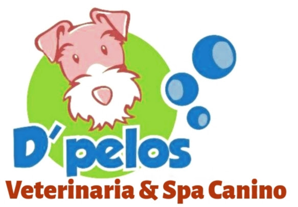 Av Neptuno 110, Ventanilla 07061