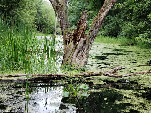 Nature Preserve «Great Flats Nature Trail», reviews and photos, W Campbell Rd, Schenectady, NY 12306, USA