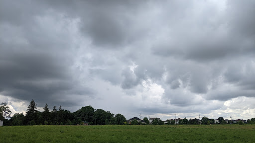 Park «Mather Woods Forest Preserve», reviews and photos, 25032 W Renwick Rd, Plainfield, IL 60544, USA