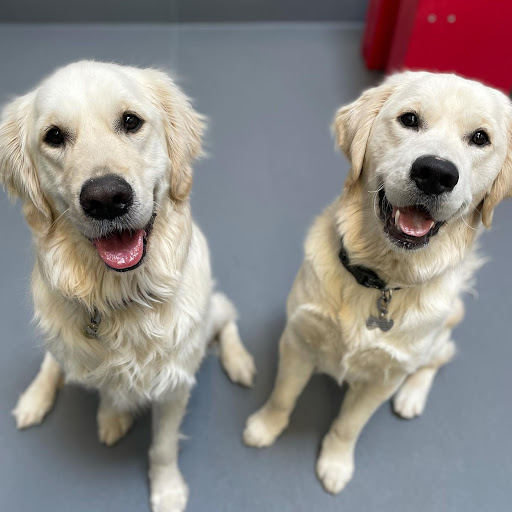 Pet Supply Store «Pet Club Maricopa», reviews and photos, 21145 N John Wayne Pkwy, Maricopa, AZ 85139, USA