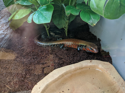 Pet Supply Store «Petco Animal Supplies», reviews and photos, 1815 Newport Blvd b, Costa Mesa, CA 92627, USA