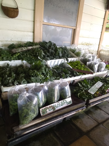 Produce Market «Green String Farm», reviews and photos, 3571 Old Adobe Rd, Petaluma, CA 94954, USA