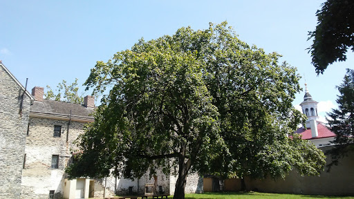 Museum «Burlington County Prison Msm», reviews and photos, 128 High St, Mt Holly, NJ 08060, USA
