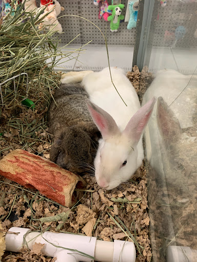 Pet Supply Store «Petland», reviews and photos, 6126 Northwest Hwy, Crystal Lake, IL 60014, USA