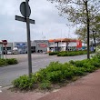 Schellenboom Hoek van Holland