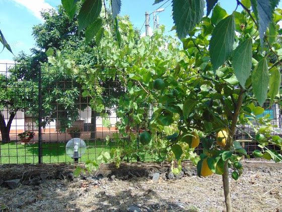 Photos du propriétaire Casa vacanza La Casetta Di Sebastiano 95024 Pennisi