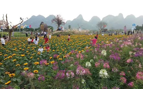 Phim trường Discovery Land image