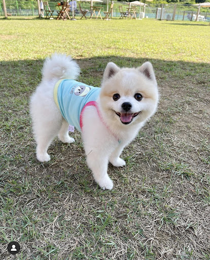 Pet Supply Store «Petco Animal Supplies», reviews and photos, 8551 S Howell Ave, Oak Creek, WI 53154, USA