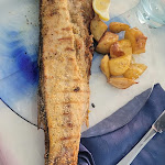 Photo n°4 de l'avis de Giovanna. fait le 14/08/2022 à 13:50 sur le  Albergo Al Marocco à Rimini