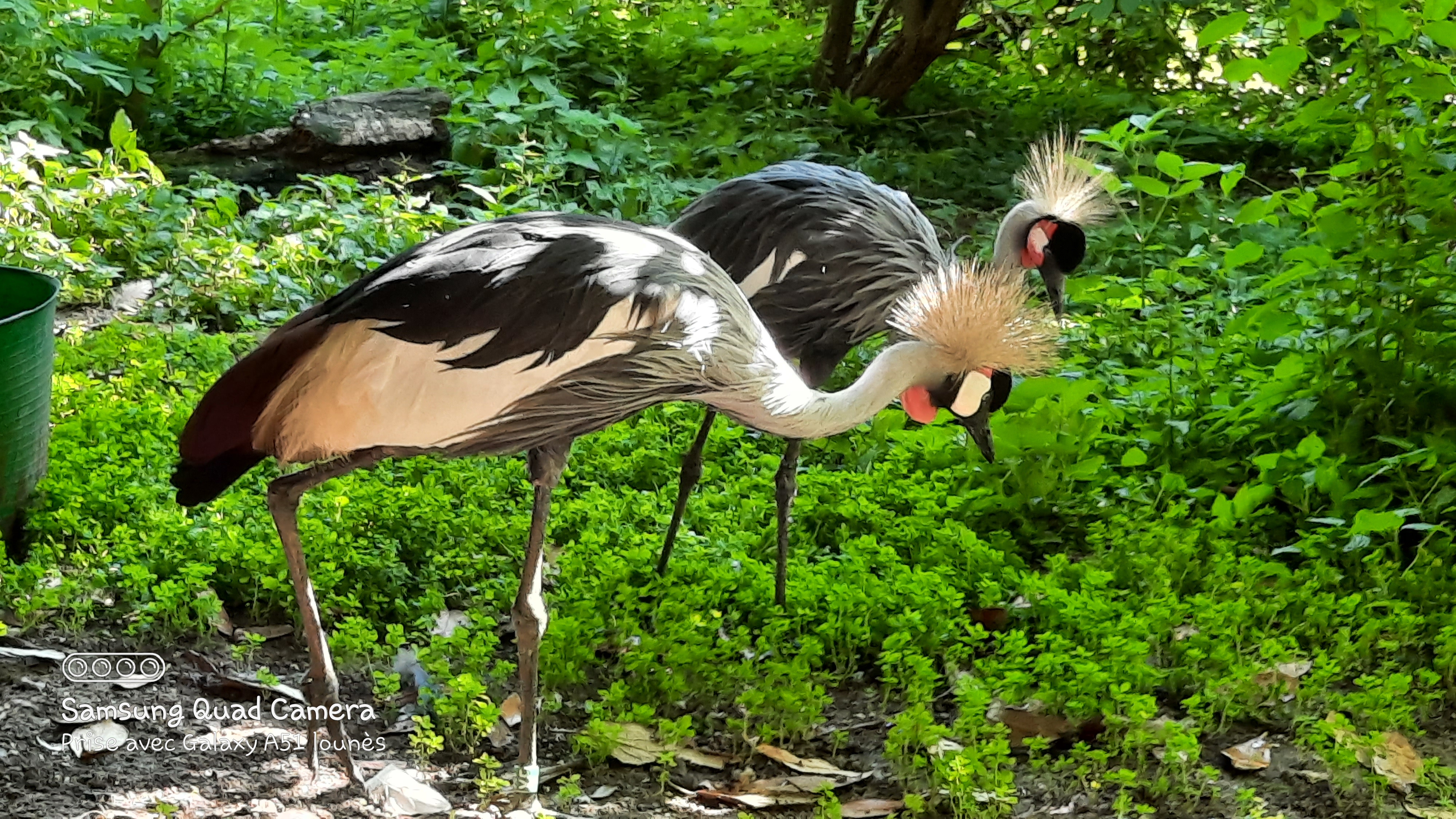 Photo n° 36 de l'avis de Lounes. fait le 02/06/2021 à 21:26