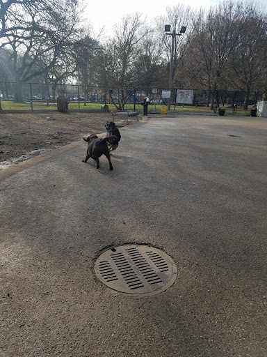 Dog Park «Norwood Park Dog Friendly Area», reviews and photos, 5850 N Avondale Ave, Chicago, IL 60631, USA