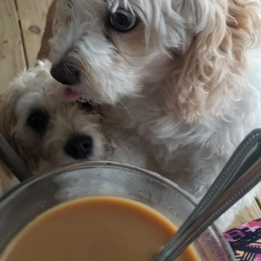 Pet Supply Store «PetSmart», reviews and photos, 1031 Beaver Creek Commons Dr, Apex, NC 27502, USA