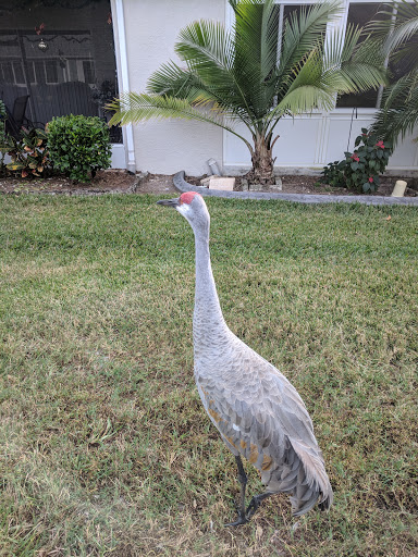 Golf Club «Scepter Golf Club reservations», reviews and photos, 1226 Newpoint Loop, Sun City Center, FL 33573, USA