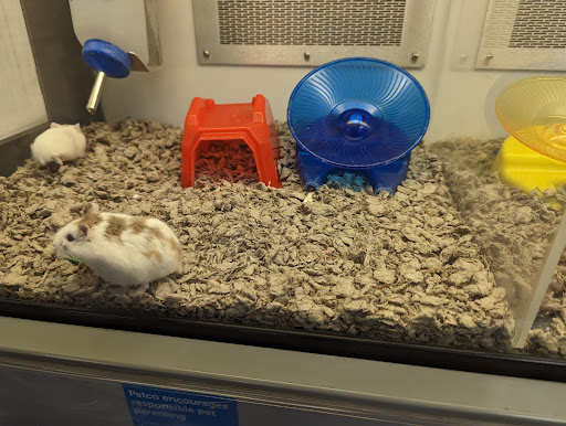 Petco image