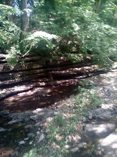 Discount Store «Dollar General», reviews and photos, 6376 Nashville Hwy, Baxter, TN 38544, USA