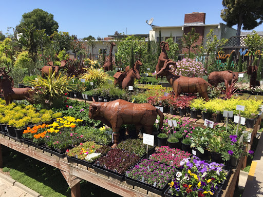 Florist «Cherry Lane Nursery», reviews and photos, 436 Traffic Way, Arroyo Grande, CA 93420, USA