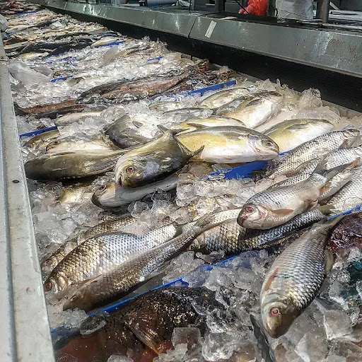 Supermarket «SF Supermarket Sacramento», reviews and photos, 6930 65th St, Sacramento, CA 95823, USA