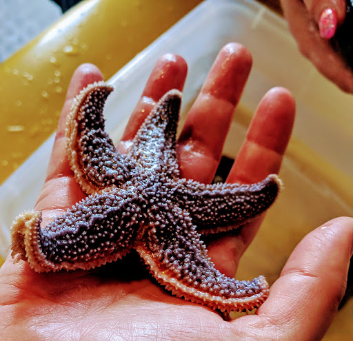 Natural History Museum «George B. Dorr Museum of Natural History», reviews and photos, 105 Eden St, Bar Harbor, ME 04609, USA