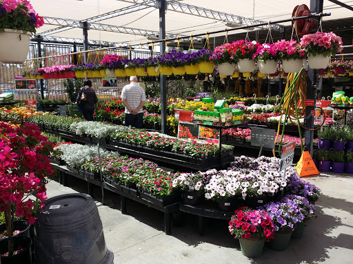 Discount Store «Walmart», reviews and photos, 25450 The Old Rd, Stevenson Ranch, CA 91381, USA