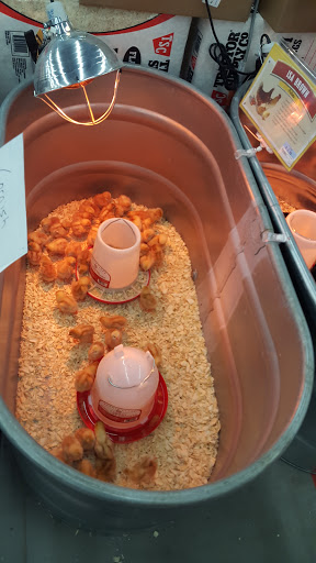 Home Improvement Store «Tractor Supply Co.», reviews and photos, 3000 Pruden Blvd, Suffolk, VA 23434, USA