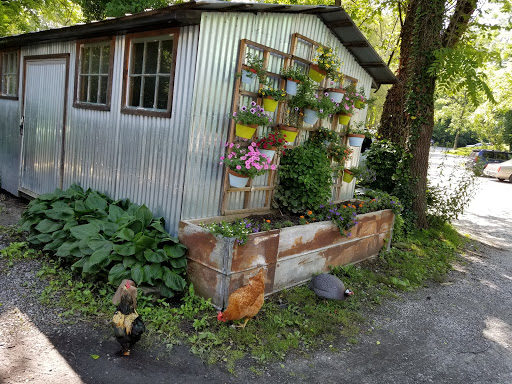 Gift Shop «The Wrinkled Egg», reviews and photos, 2710 NC-225, Flat Rock, NC 28731, USA