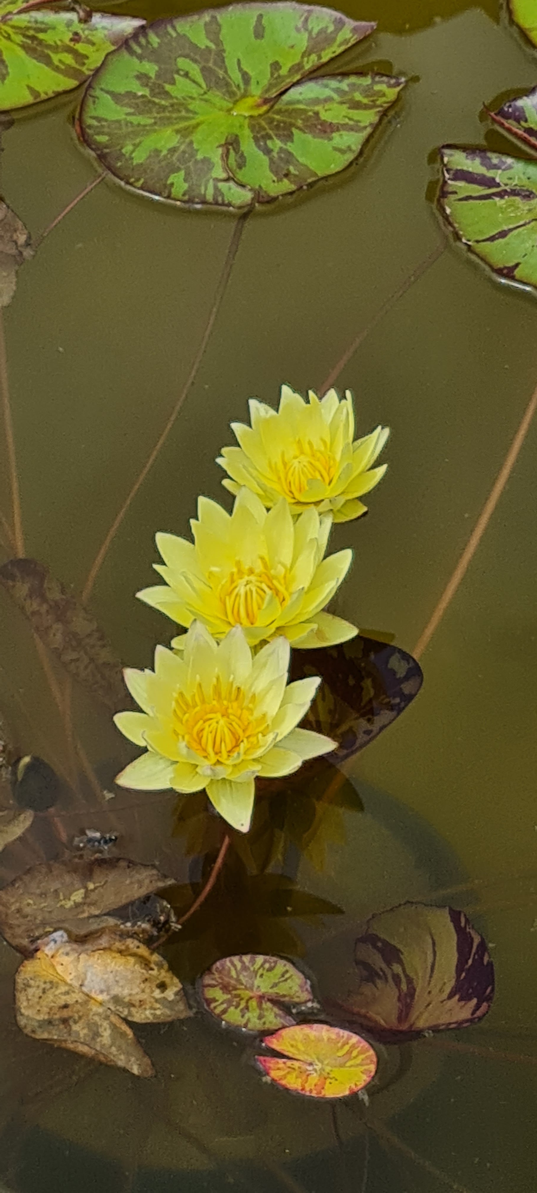 Photo n° 2 de l'avis de Florence.o fait le 22/06/2022 à 08:38