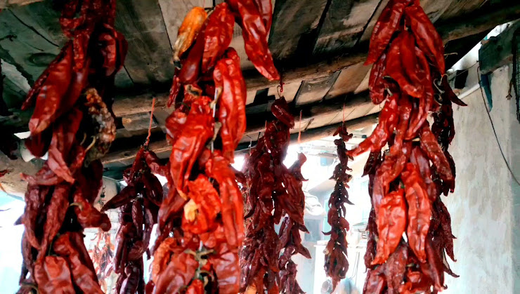 Vidéos hôtels San Julian 23479 Burunchel