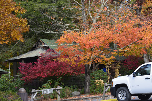 Pet Store «Abrams and Weakley General Store for Animals», reviews and photos, 3963 N 6th St, Harrisburg, PA 17110, USA