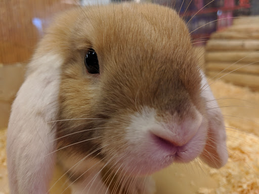 Pet Supply Store «Family Pet Store», reviews and photos, 38 Starrett Dr, Belfast, ME 04915, USA