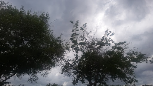 Shopping Mall «Dairy Plaza Shopping Center», reviews and photos, 1527 N Singleton Ave, Titusville, FL 32796, USA