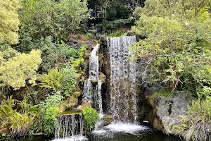Los Angeles County Arboretum image