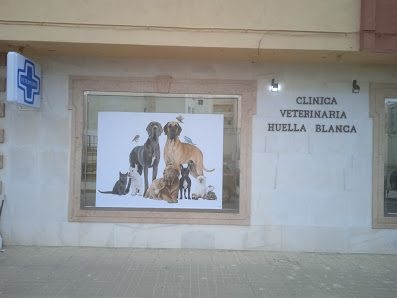 Clínica Veterinaria Huella Blanca C. Narciso Tome, N13, 04700 El Ejido, Almería, España