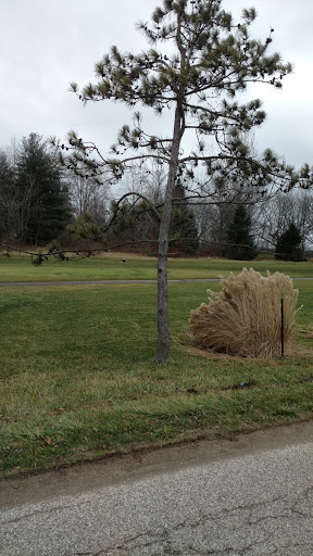 Golf Club «Eagle Pines Golf Club», reviews and photos, 9373 N Country Club Rd, Mooresville, IN 46158, USA