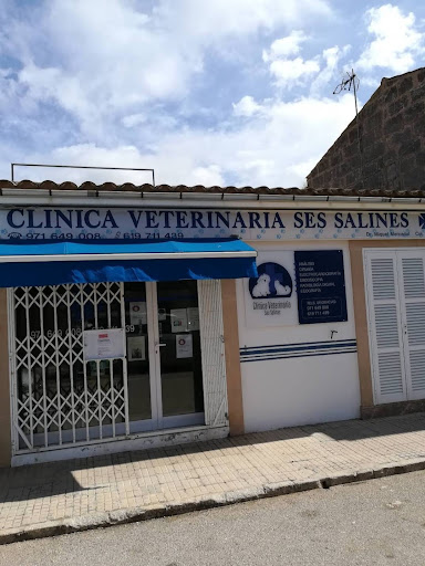 Clínica Veterinaria Ses Salines en Ses Salines, Baleares