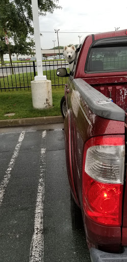 Pet Supply Store «Petco Animal Supplies», reviews and photos, 9700 Midlothian Turnpike, Richmond, VA 23235, USA