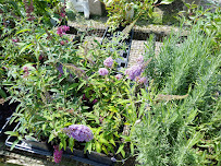 Weesies Brothers Garden Centers & Landscaping - Photo 2 - Car repair in Nunica, MI, Muskegon