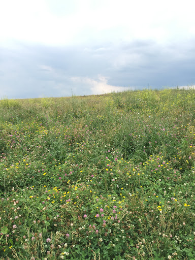 Event Venue «Willow Island at the Alliant Energy Center», reviews and photos, 1919 Alliant Energy Center Way, Madison, WI 53713, USA