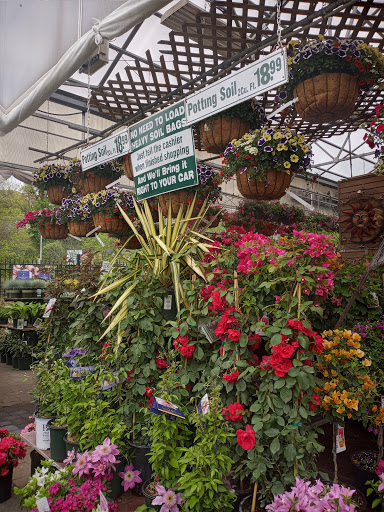 Florist «Metropolitan Plant and Flower Exchange», reviews and photos, 471 NJ-10, West Orange, NJ 07052, USA