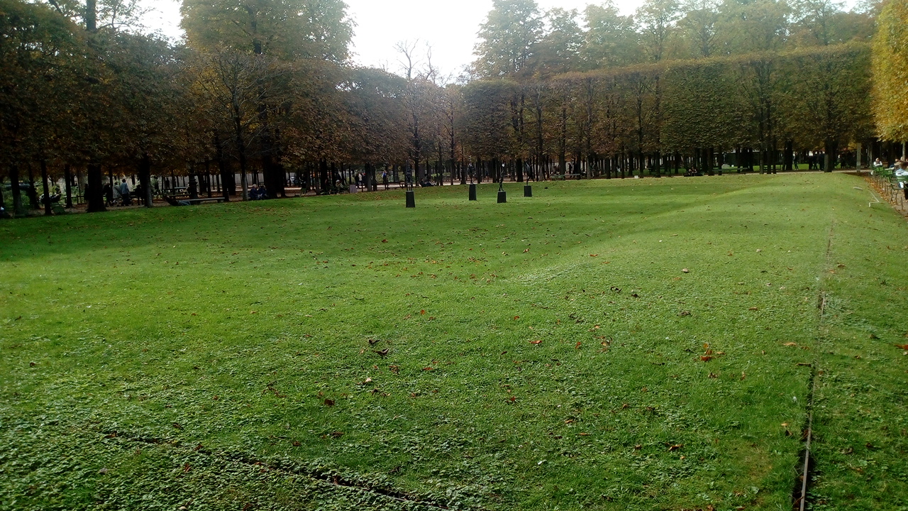 Photo n° 33 de l'avis de Delbart.e fait le 06/10/2019 à 13:25