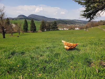 Beauz'Anes à Beauzac