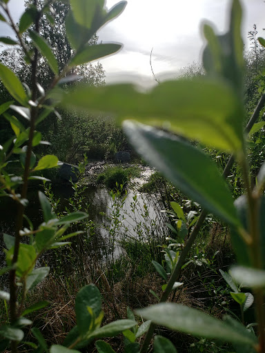 Park «Ferguson Park», reviews and photos, 1330 Ferguson Park Rd, Snohomish, WA 98290, USA