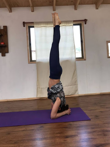 Opiniones de Maitri Yoga Studio en Quillota - Centro de yoga