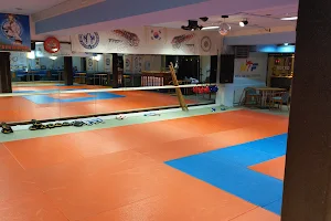 Kampfsport Akademie Dalkiran image