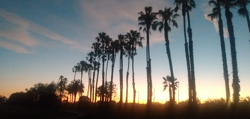 Golf Course «Dad Miller Golf Course», reviews and photos, 430 N Gilbert St, Anaheim, CA 92801, USA