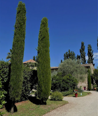 Agence Immobilière Roland Muthuon à Valence