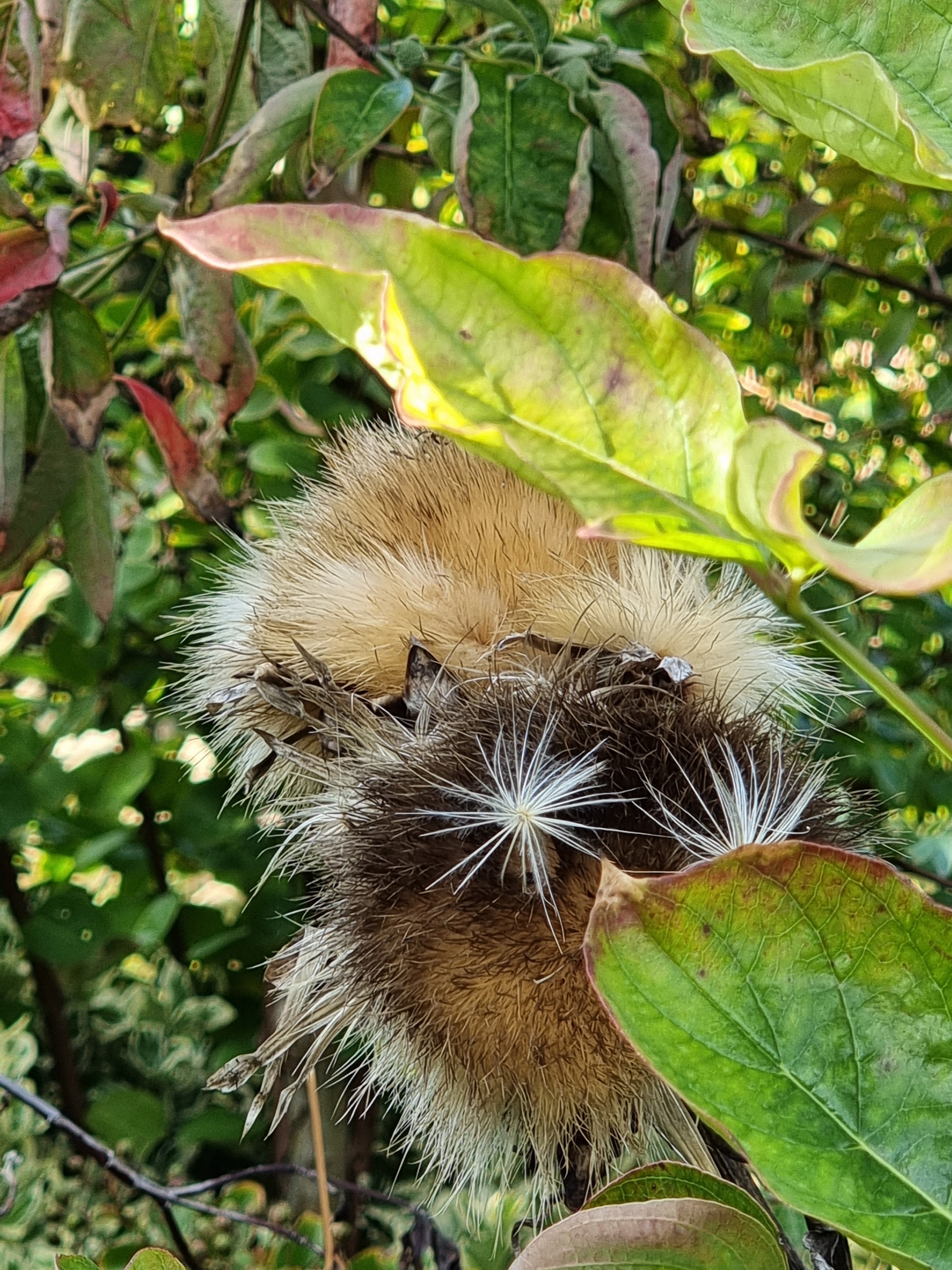 Photo n° 16 de l'avis de Philippe.a fait le 25/09/2022 à 19:28
